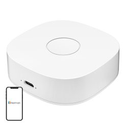Heiman WS2GW-R átjáró, WiFi