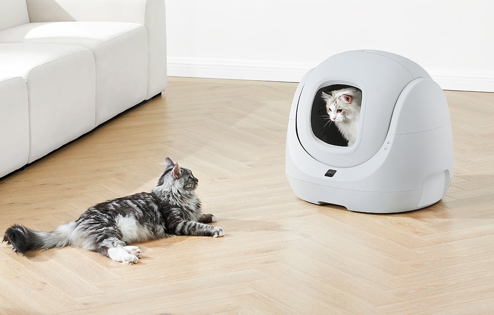 Catlink BayMax Scooper SE Lite okos öntisztító macskaalom CL-CA-03 1