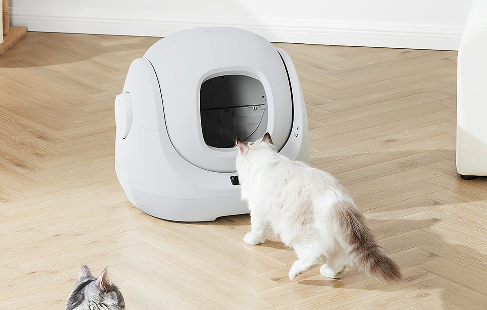 Catlink BayMax Scooper SE Lite okos öntisztító macskaalom CL-CA-03 4