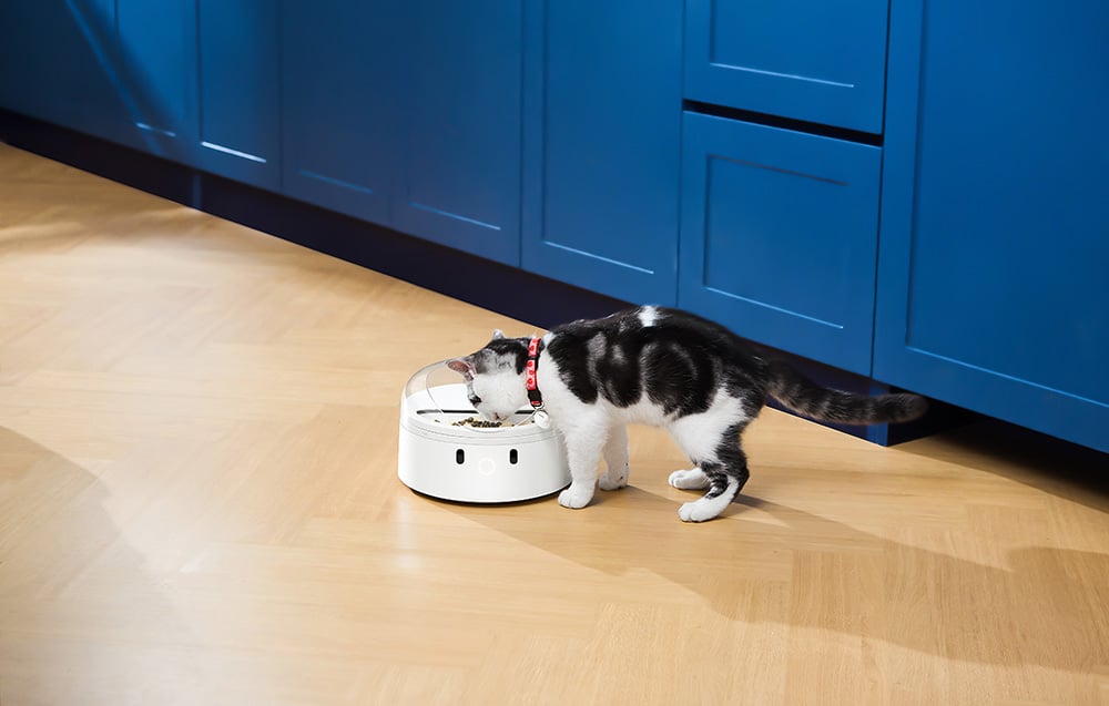 CatLink F03 Standard okos ételadagoló 2