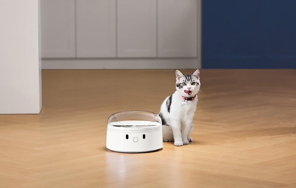 CatLink F03 Standard okos ételadagoló 3