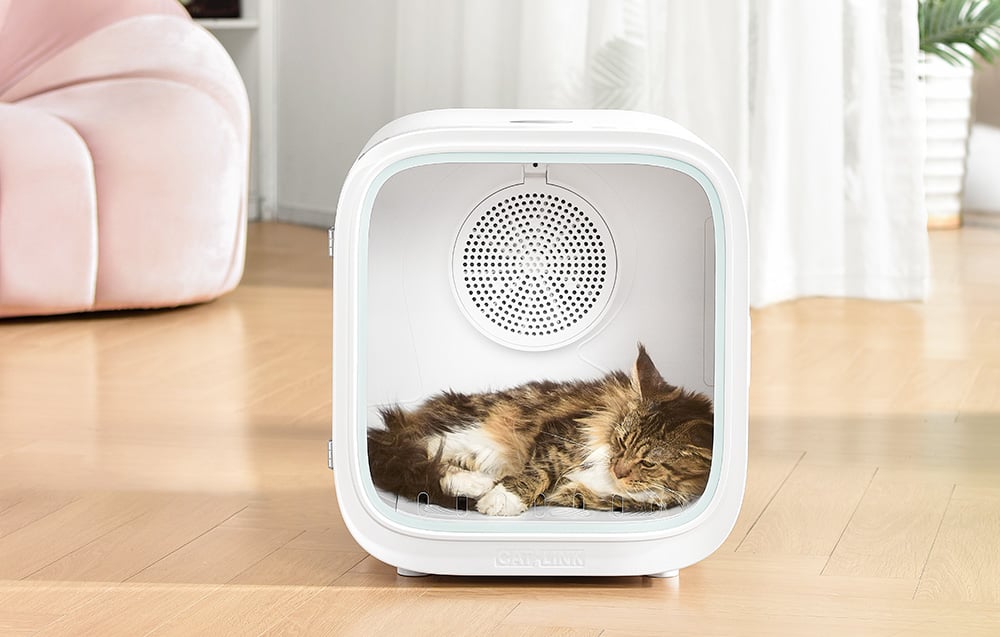 Catlink Luxury kisállat szárító 3
