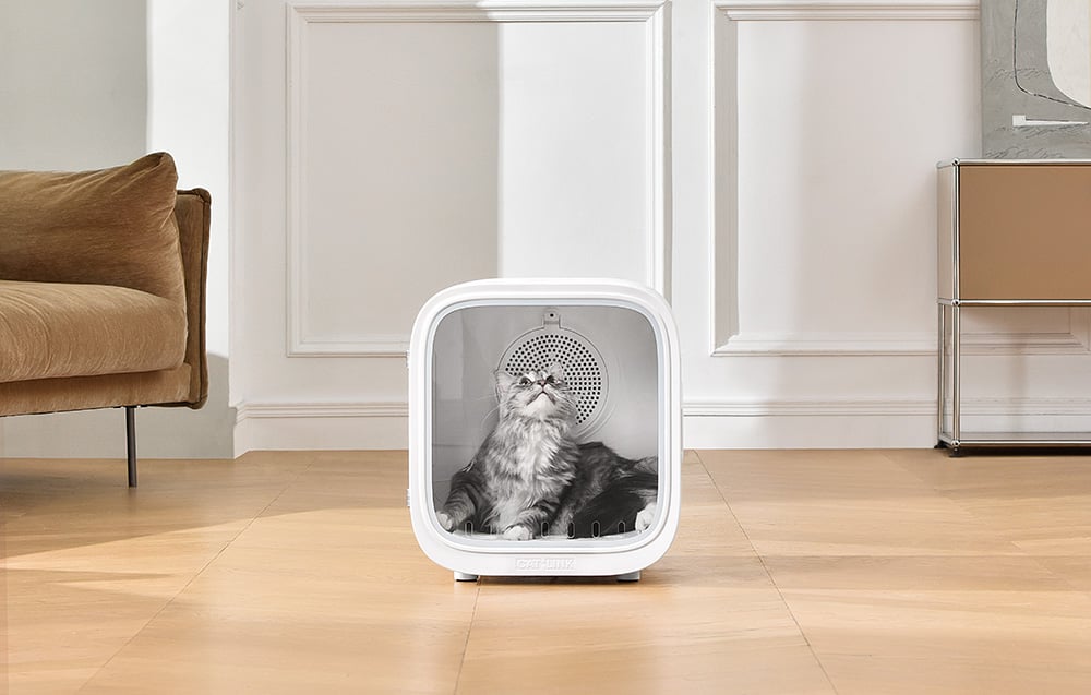Catlink Luxury kisállat szárító 5