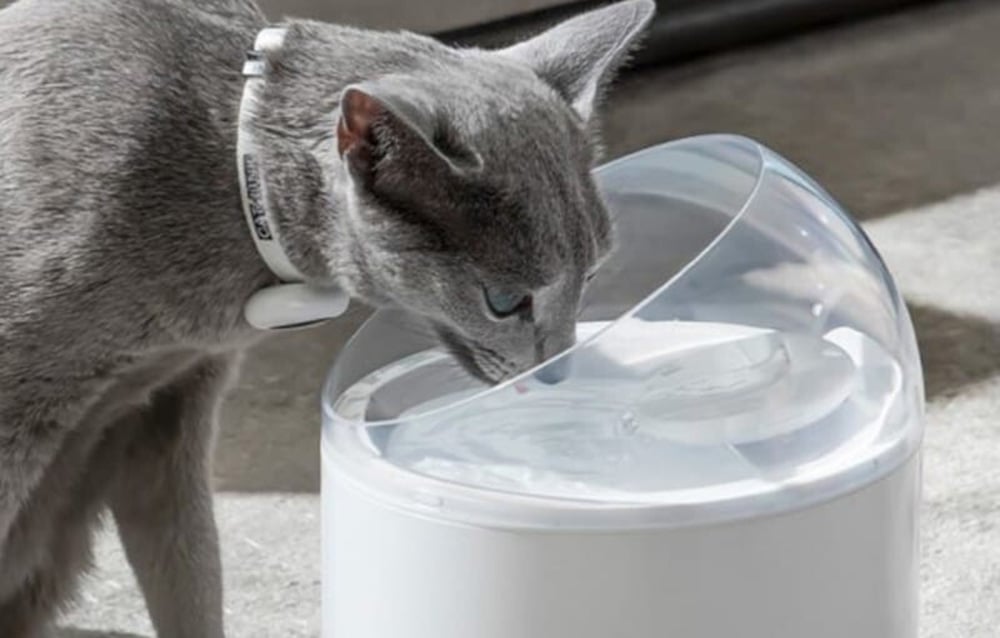 Catlink Pure 2 automata okos vízadagoló, fehér 3