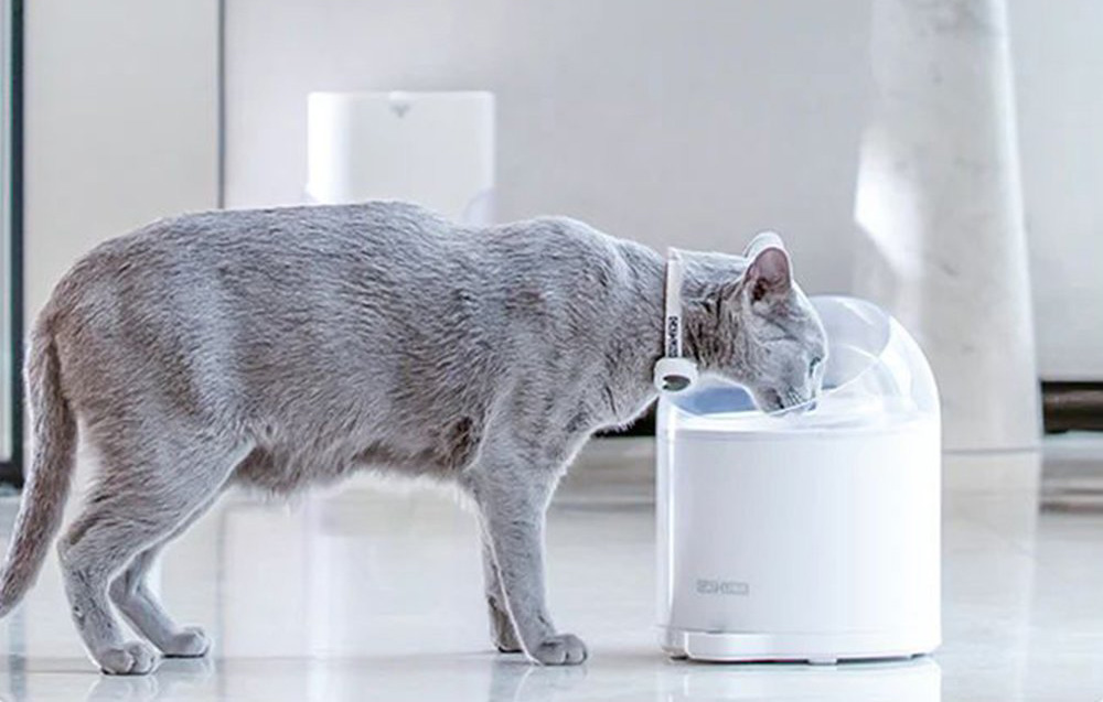 Catlink Pure 2 szűrőkészlet, 2 db 1
