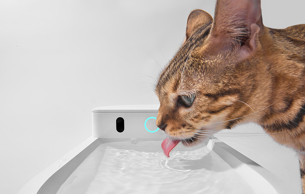 Catlink Pure 3 okos kisállat itató, fehér 2
