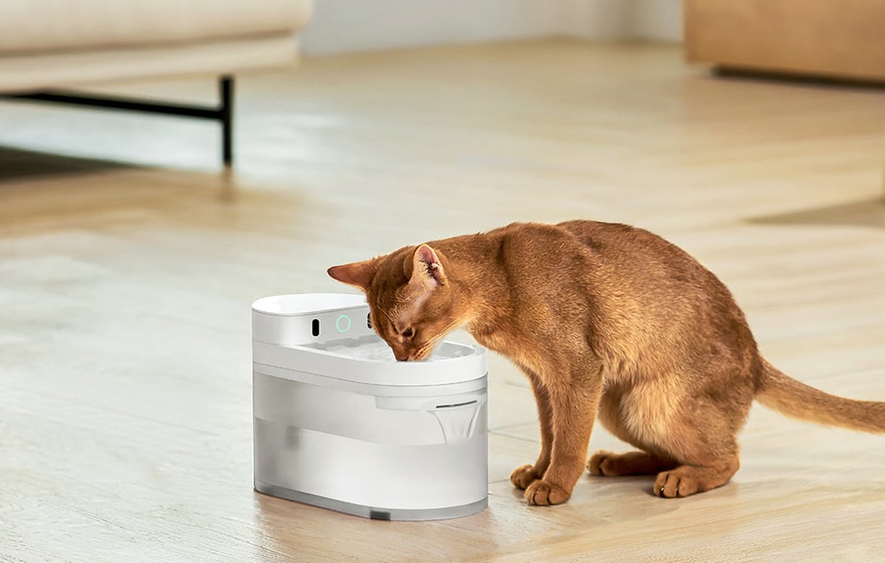 Catlink Pure 3 okos kisállat itató, fehér 5