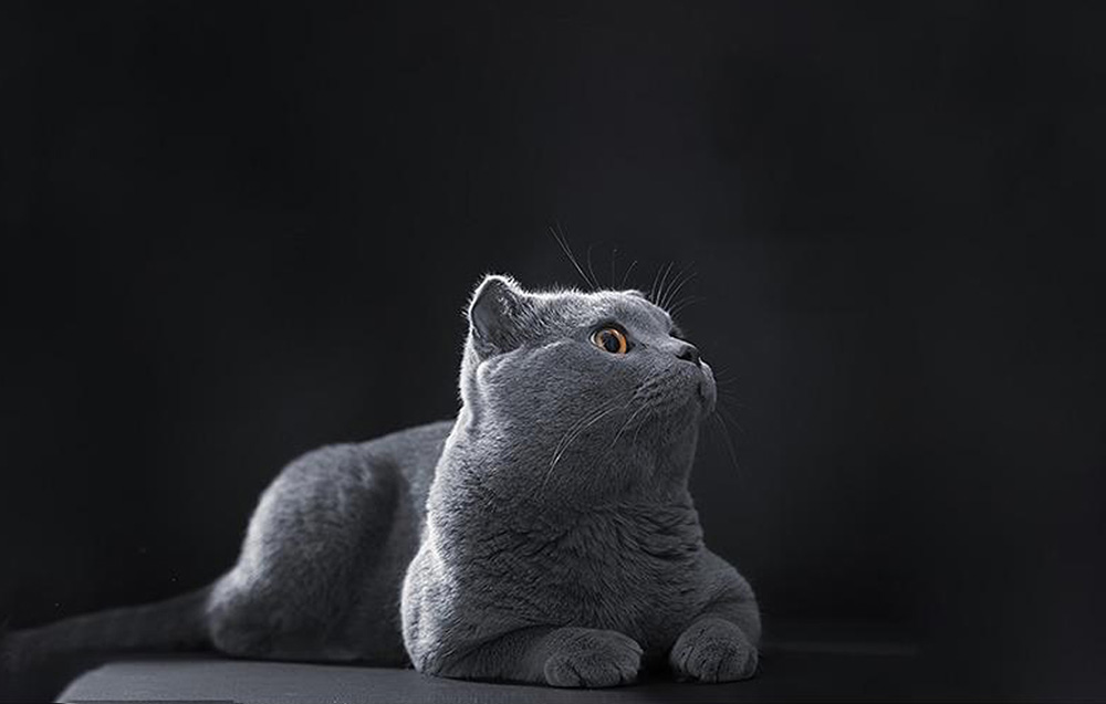 Heiman WS3MS okos mozgásérzékelő, Wi-Fi, Tuya 6