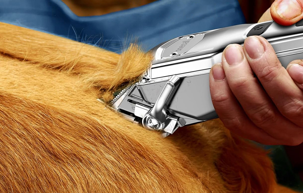 Kisállat nyírógép készlet Oneisall RFC-676 + P20 3