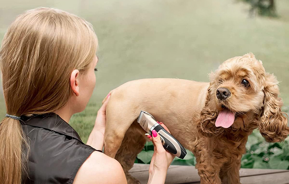 Oneisall P2 trimmer, arany 3