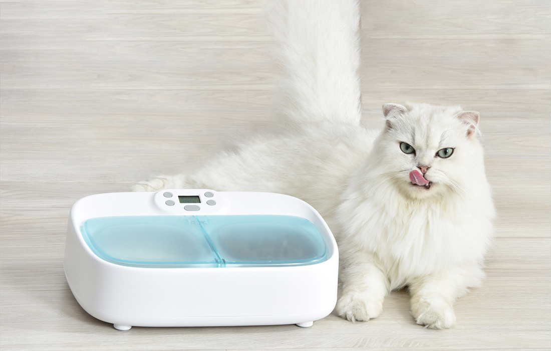 Petoneer Two-Meal Feeder intelligens etetőtál 1