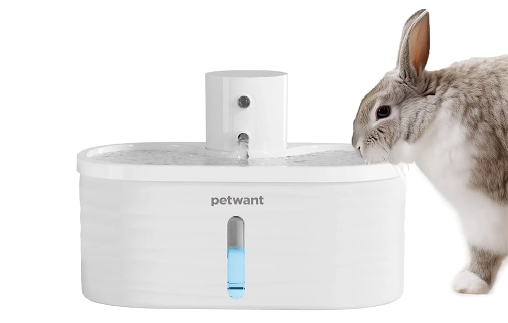 Petwant W4-L kisállat itató 3