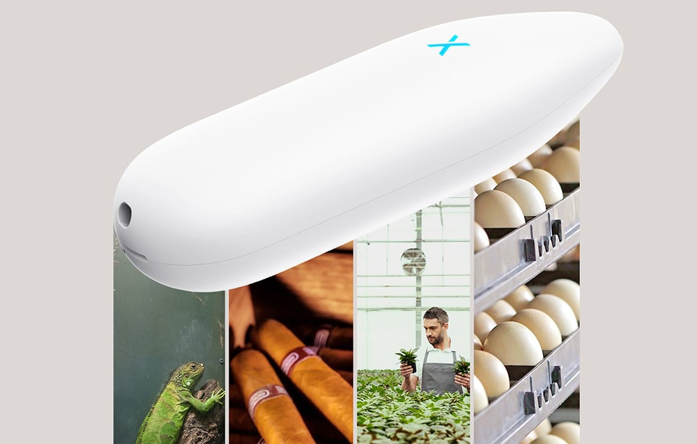 X-Sense STH51 intelligens hőmérő/hidrométer 7