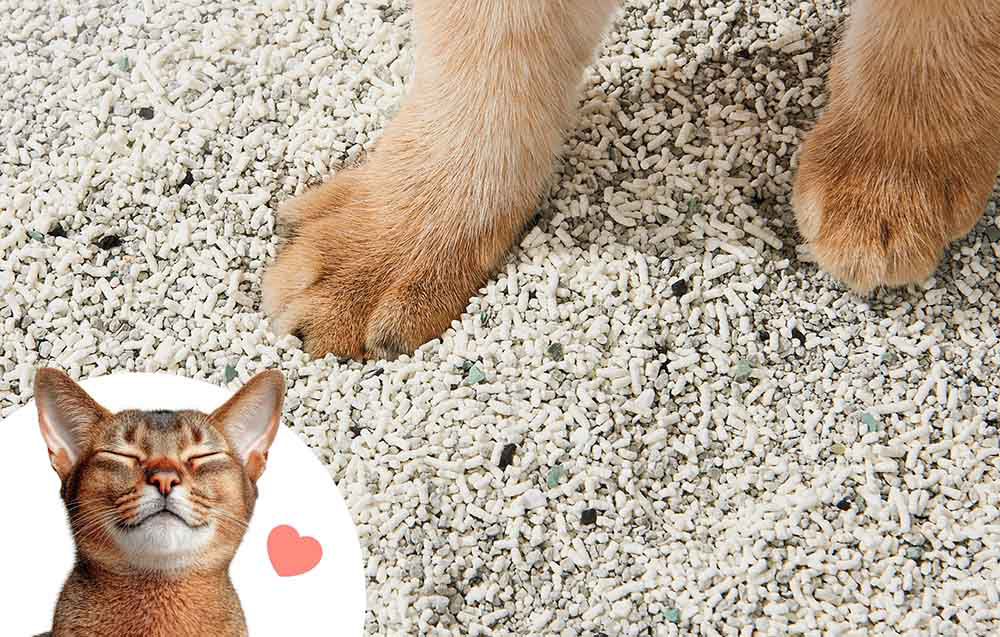 Żwirek dla kota Catlink vegyes alom 4