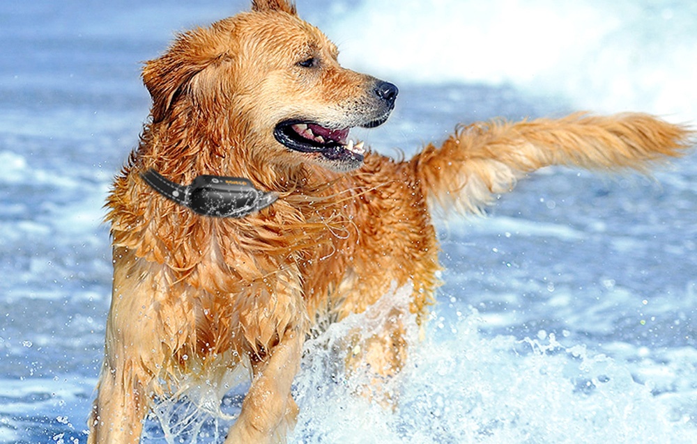 Rojeco elektromos ugató nyakörv (fekete) 2
