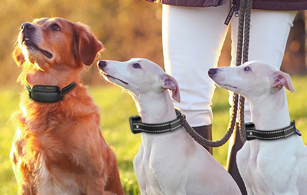 Rojeco elektromos ugató nyakörv (fekete) 6