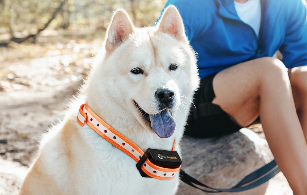 Rojeco PD5291000m kutyakiképző nyakörv 2 nyakörvvel 1