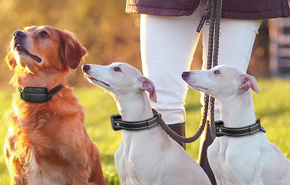 RojecoPD521 1000m kutyakiképző nyakörv 2 nyakörvvel (fekete) 1