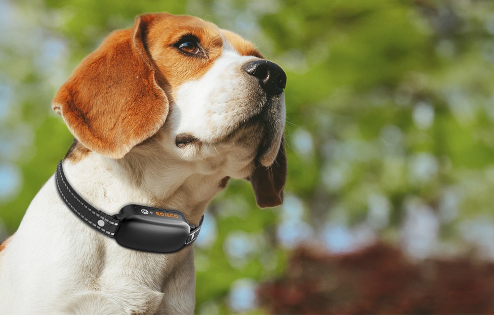 RojecoPD521 1000m kutyakiképző nyakörv 2 nyakörvvel (fekete) 5